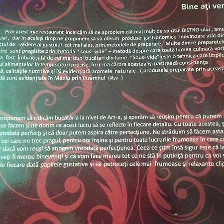 Artmotel & Bistro Haţeg المظهر الخارجي الصورة