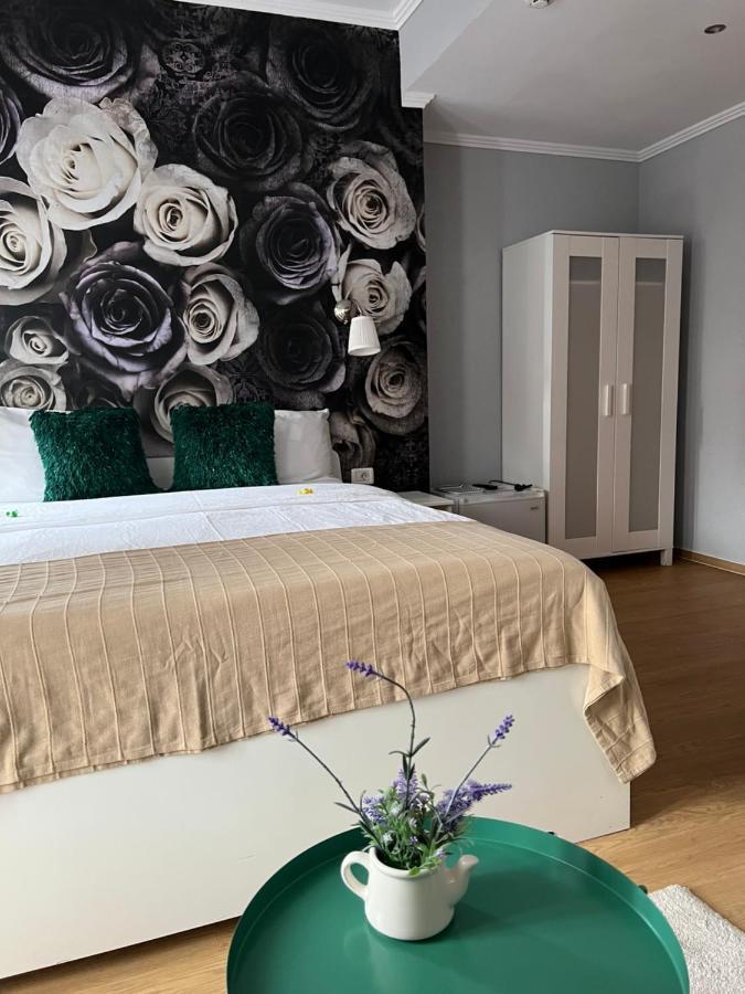 Artmotel & Bistro Haţeg المظهر الخارجي الصورة