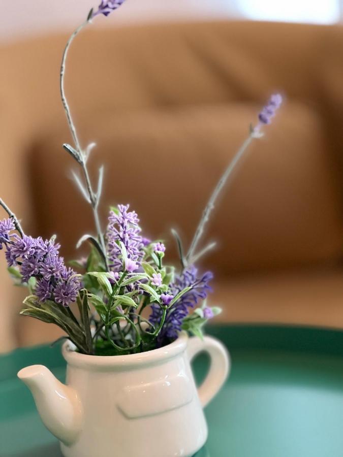 Artmotel & Bistro Haţeg المظهر الخارجي الصورة